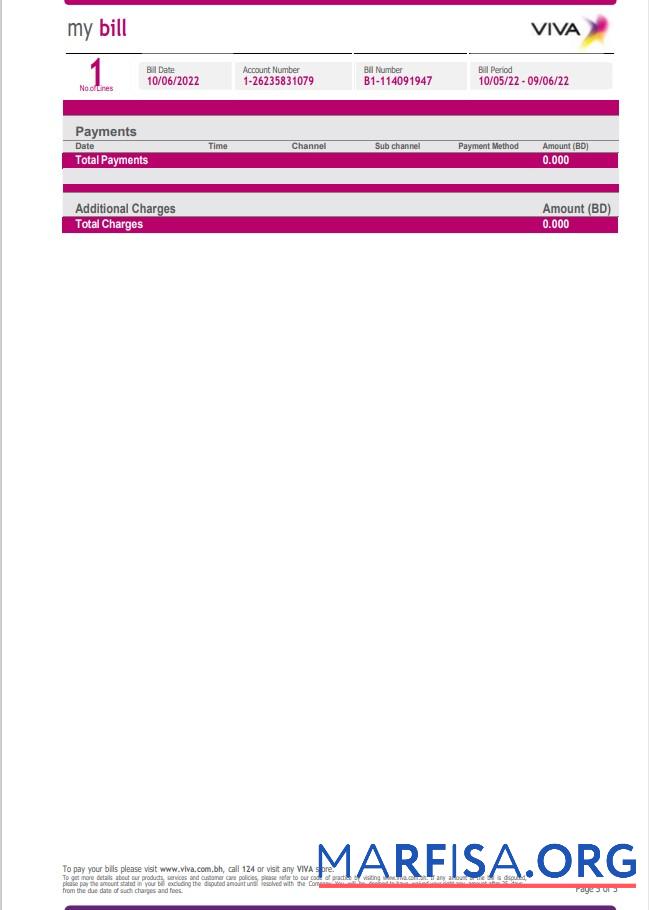 Realistic Bahrain Viva my utility bill Word and PDF template, 5 pages 5
